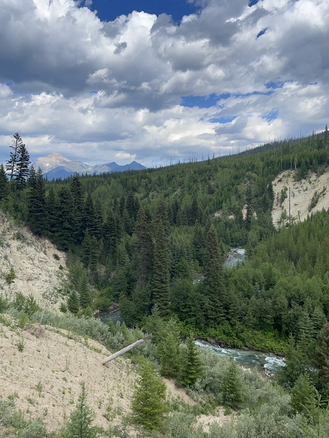 Photo of a river running through a forested canyon.