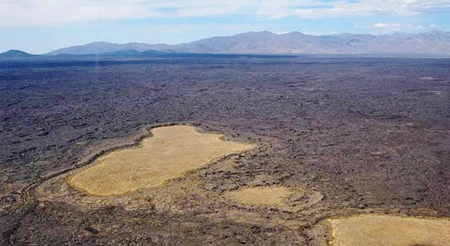 Aerial view of islands of yellowed vegetation in a sea of dark lava rock.