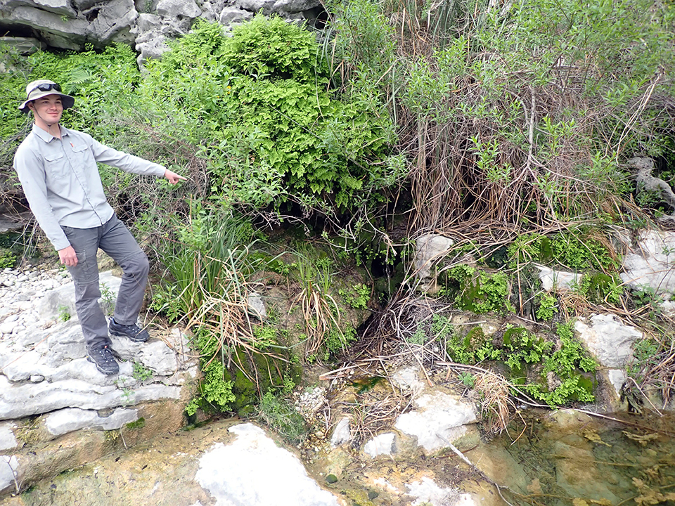 Figure 9. A person points to green vegetation on a cliff wall, where water seeps onto white rocks dotted with plants.