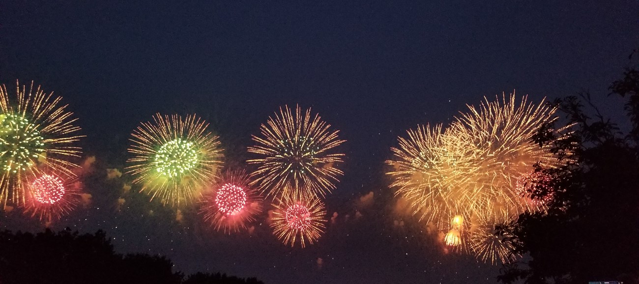 Night sky lit up with fireworks