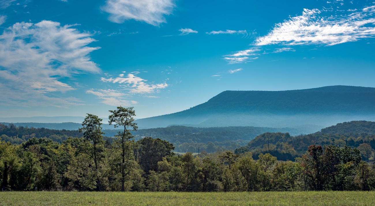 Expansive green field with trees and large flat-topped peak in background