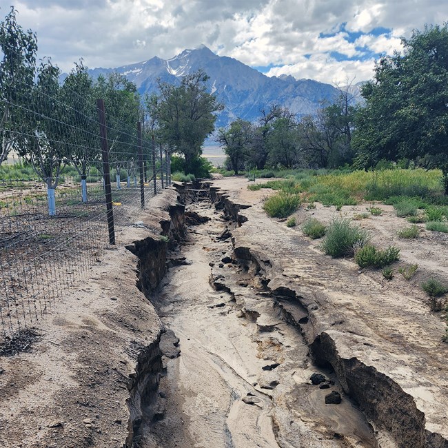 Large ditch carved into orchard from storm flooding