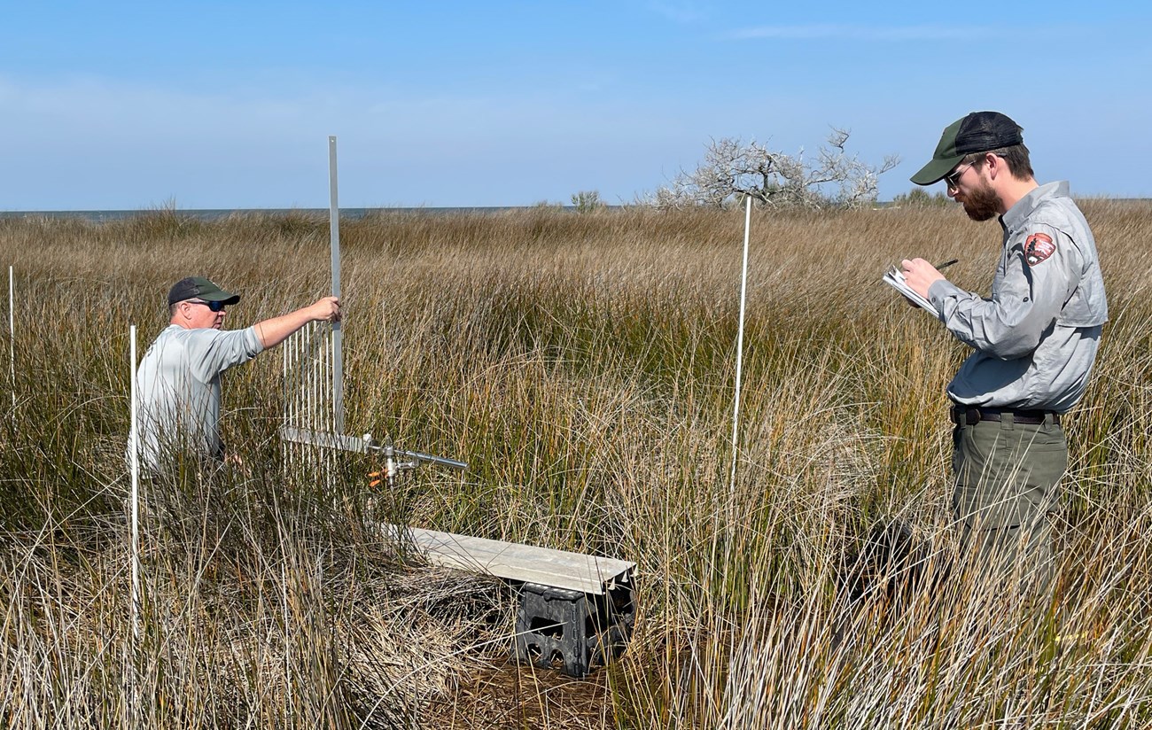 Two men in a marsh, one sitting holding a metal rod and one standing with a clipboard