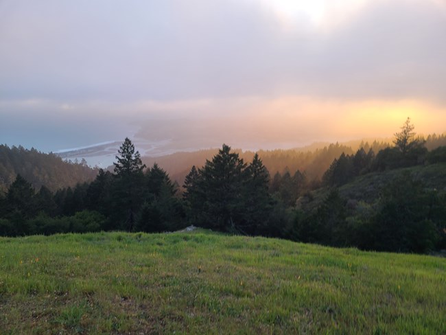 Foggy Sunset at Mount Tamalpais State Park