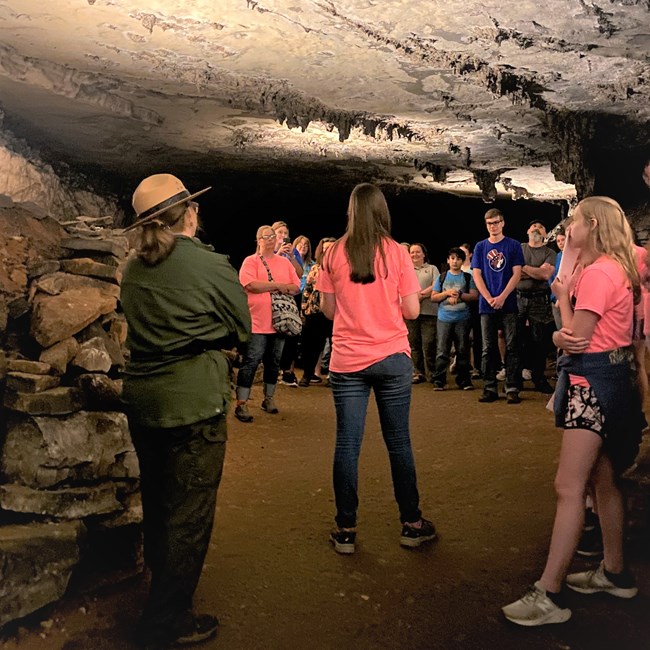 A group of people stand in a cave with stalagtites and listen to a person speak.