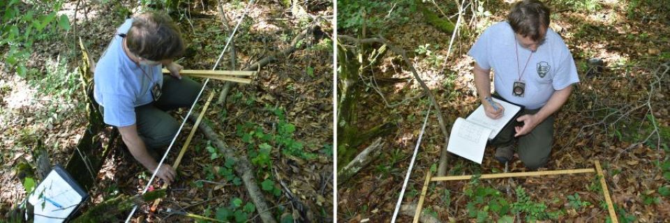 Man lays out yardsticks and records data on his knees with a clipboard