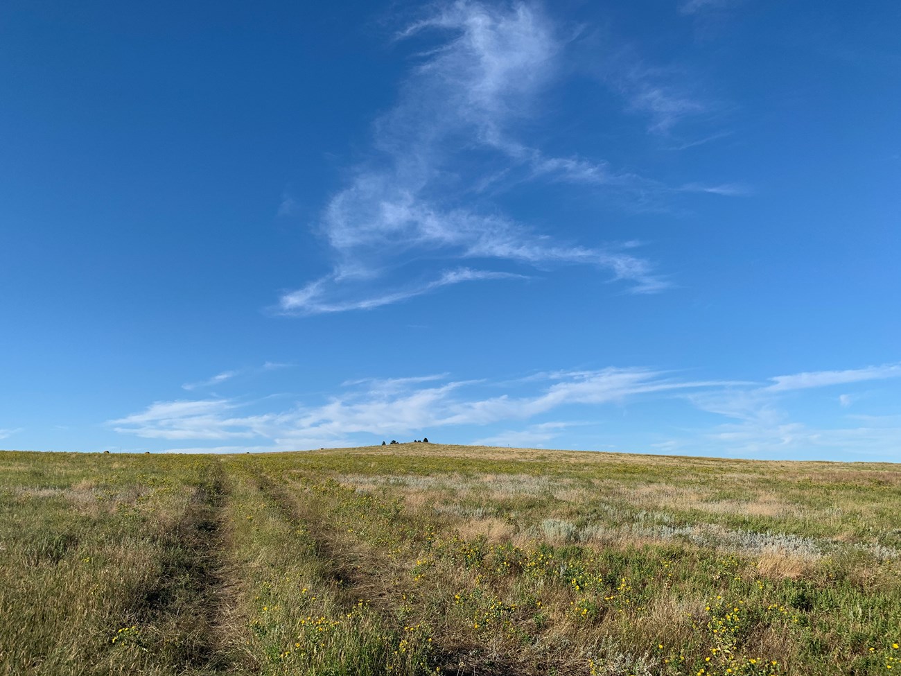 prairie landscape