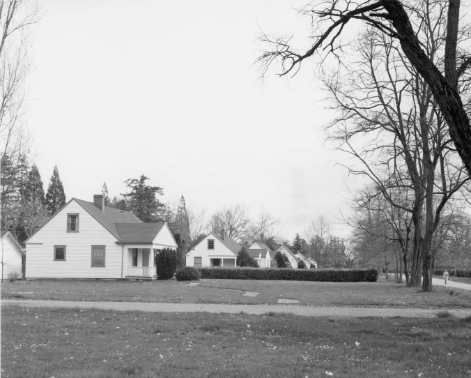 Black and white picture of seven cottages and their front yards. One person is walking in the corner.