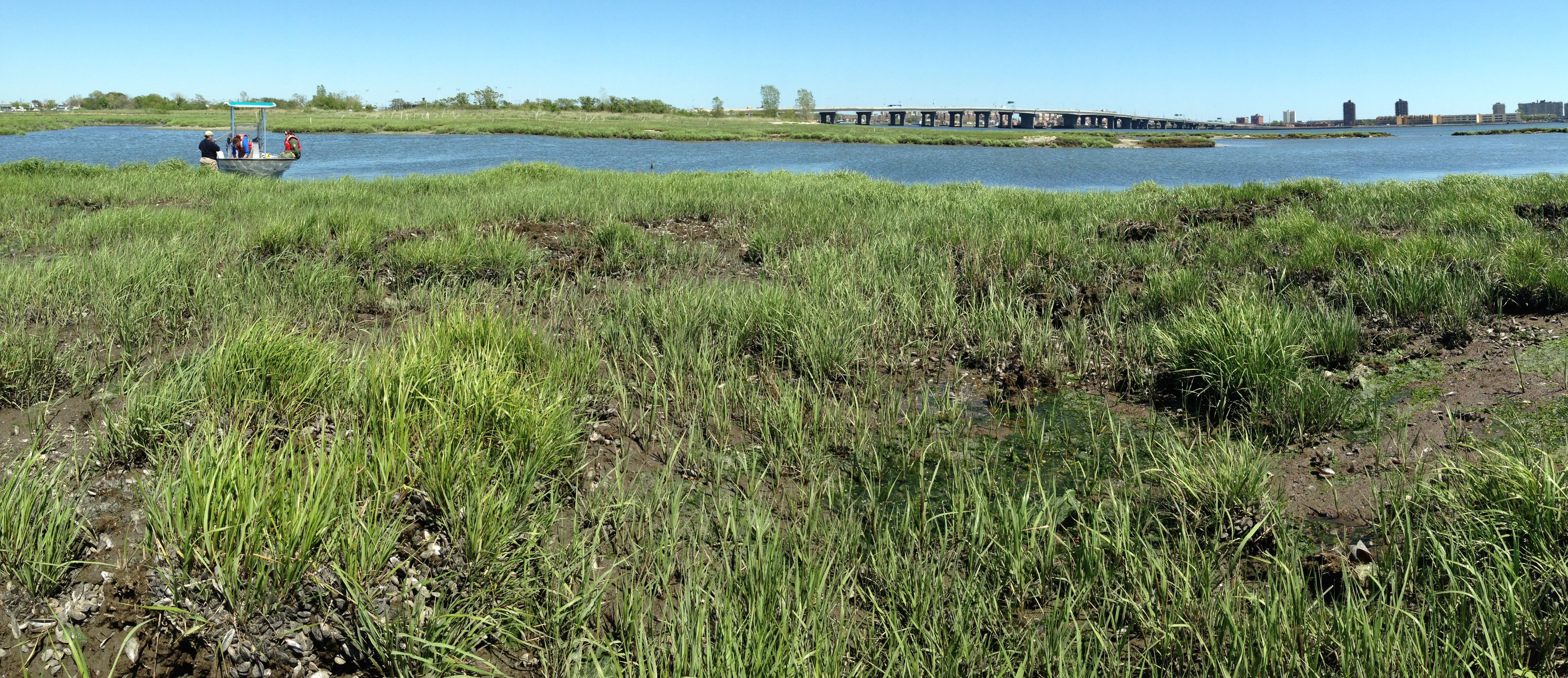 a panoramic view of a salt mash grasses and mud in the foreground, a channel of water with a research boat, and a bridge and buildings in the background at Gateway National Recreation Area.
