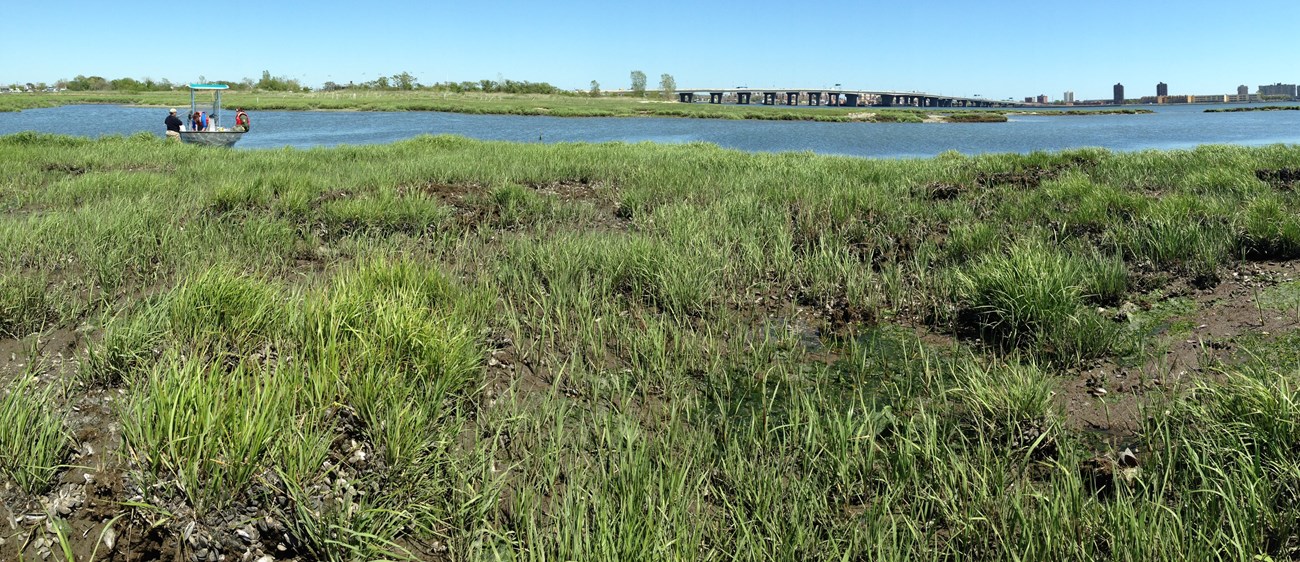 a panoramic view of a salt mash grasses and mud in the foreground, a channel of water with a research boat, and a bridge and buildings in the background at Gateway National Recreation Area.