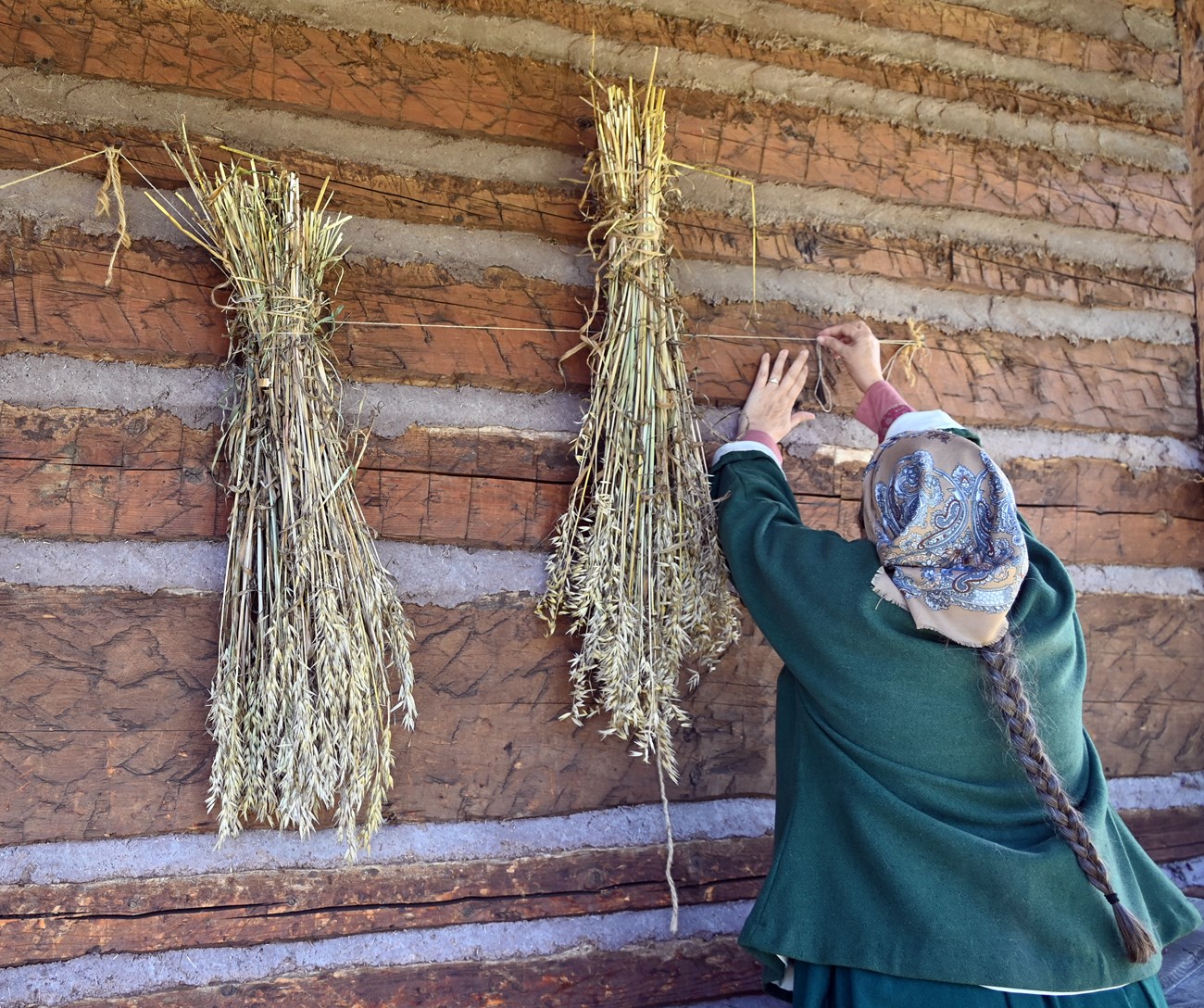 A person in historic clothing attaching grass bundles to a wall with twine.