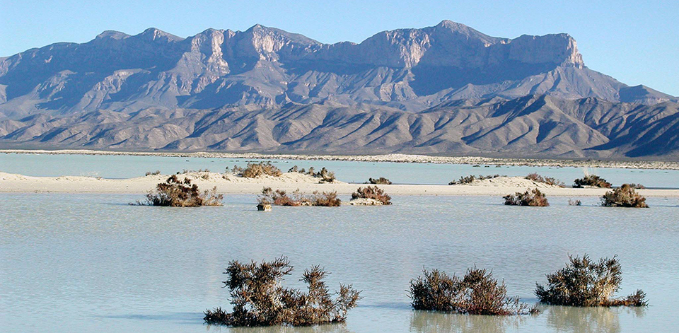 Salt mounds and shrubs peeking above a large, shallow water body in front of rugged mountains.