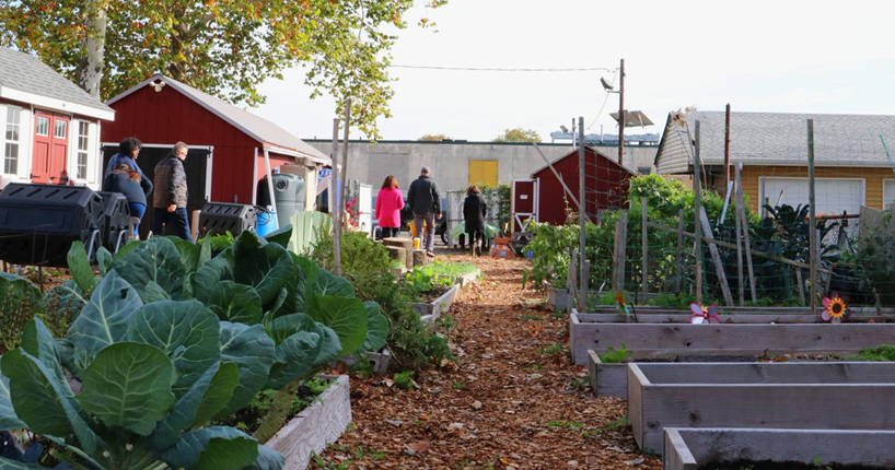 Groundwork Elizabeth staff and NPS staff at the MicroFarm