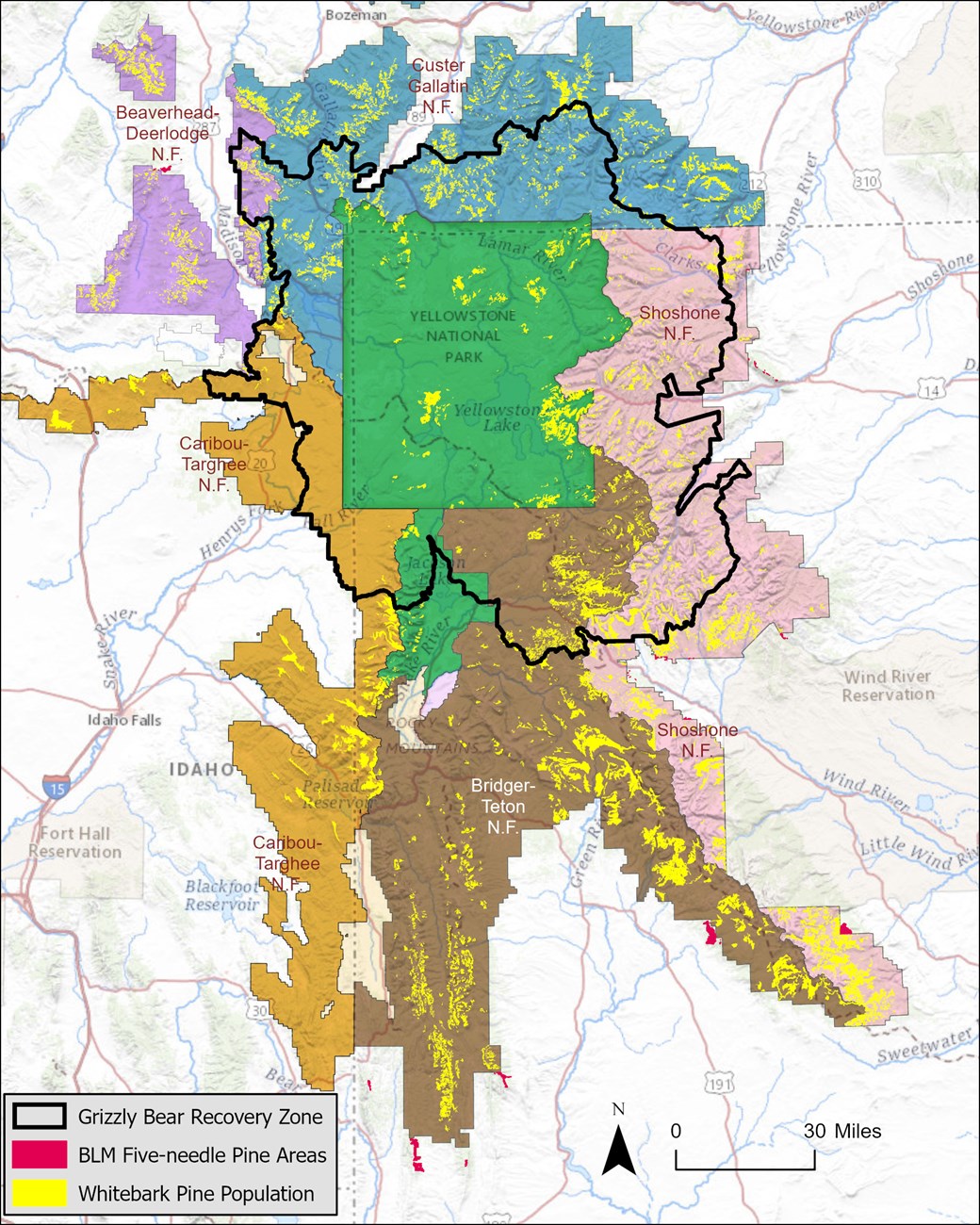 Methods for the Interagency Whitebark Pine Monitoring Program in the ...