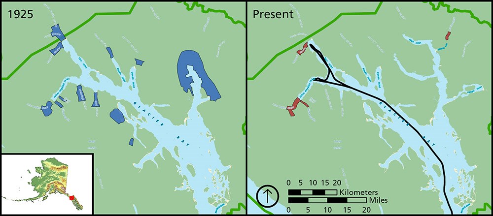 A comparison of the extent of tidewater glaciers in Glacier Bay from 1925 to today.