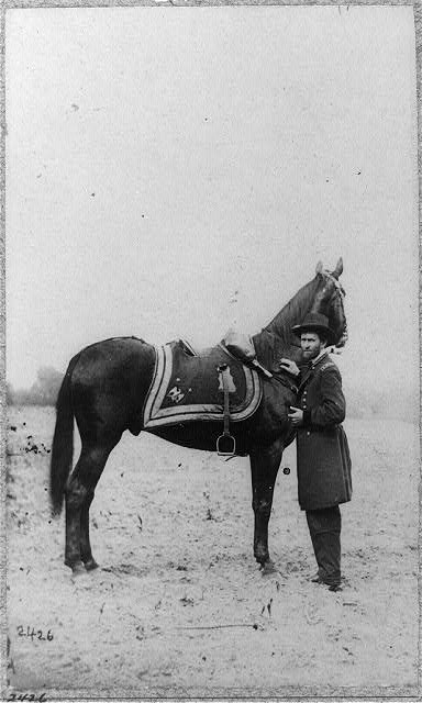 Man wearing U.S. Army uniform standing in front of a horse in an open field.