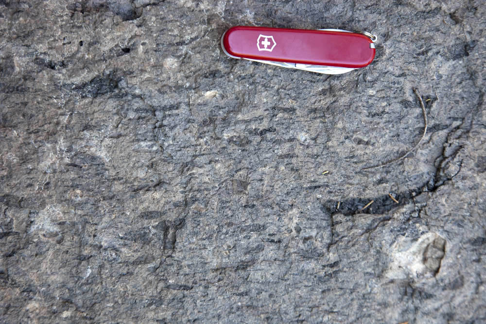 copyrighted photo showing close-up rock texture of welded tuff