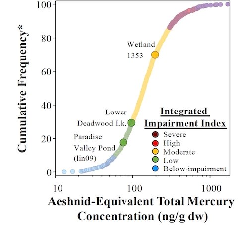 Graph of cumulative frequency (0-100) of aeshnid-equivalent total mercury concentration (10-1000 ng/g dw) forming a colored "S" line that is blue in the lower left and rises to red-purple high concentrations/frequencies in the upper right.