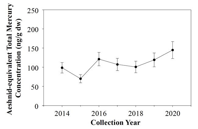 Line graph of total mercury concentrations per collection year, 2014-2020.