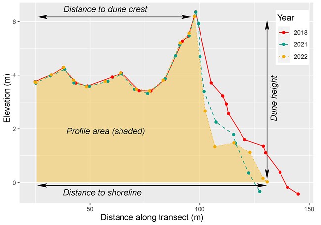 Graph of beach and dune elevations