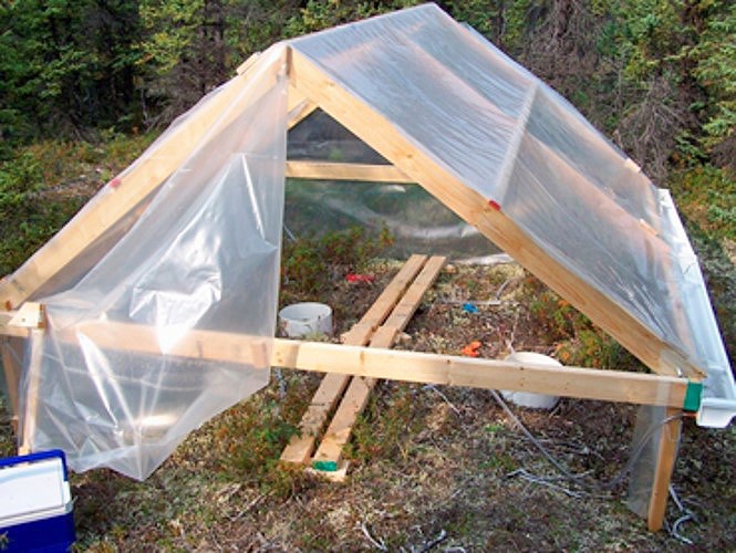 A greenhouse consisting of a wooden frame covered with a plastic sheet. It lies on top of bare soil.