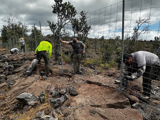 HALE fenceline group of workers