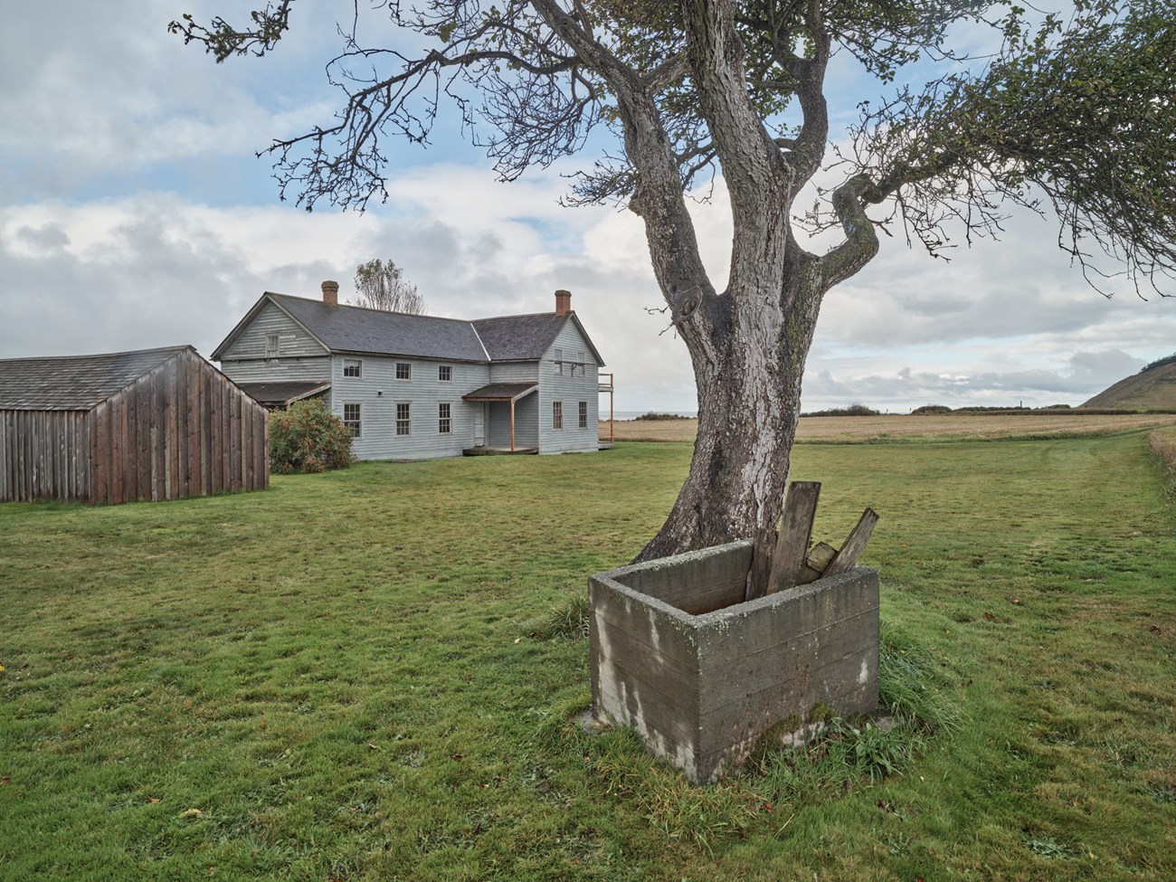 Tree with well and a house in the background.