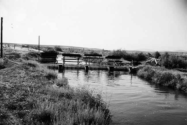 Black and white photo of a small wooden dam on a narrow river with scrub brush along the banks.