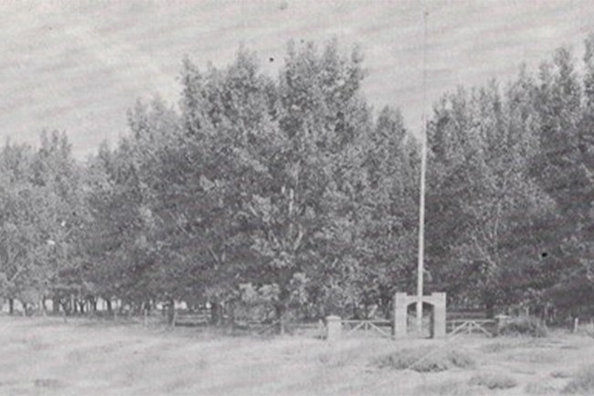 Black and white photo of a tree line with a fence and brick arch in front of it.
