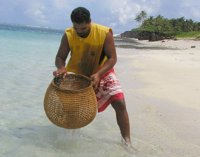 A man in a yellow shirt and a red and yellow sarong carries a woven fishing basket in the clear blue water along the beaches of National Park of the American Samoa.