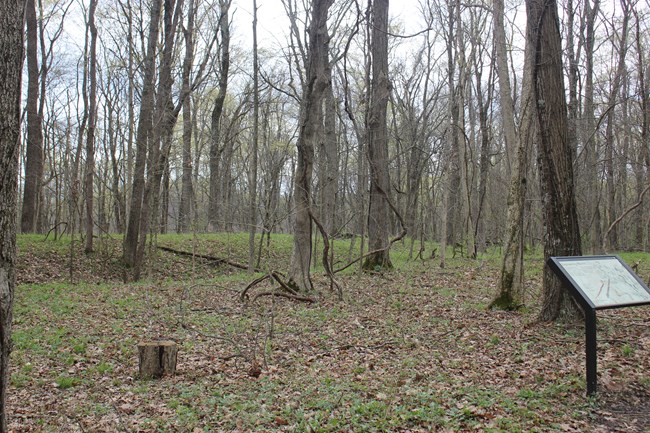 an outdoor interpretive sign sits near an ancient embankment wall.