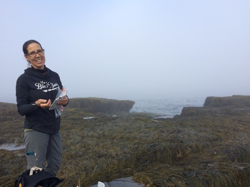 woman holds field book near rocky seashore