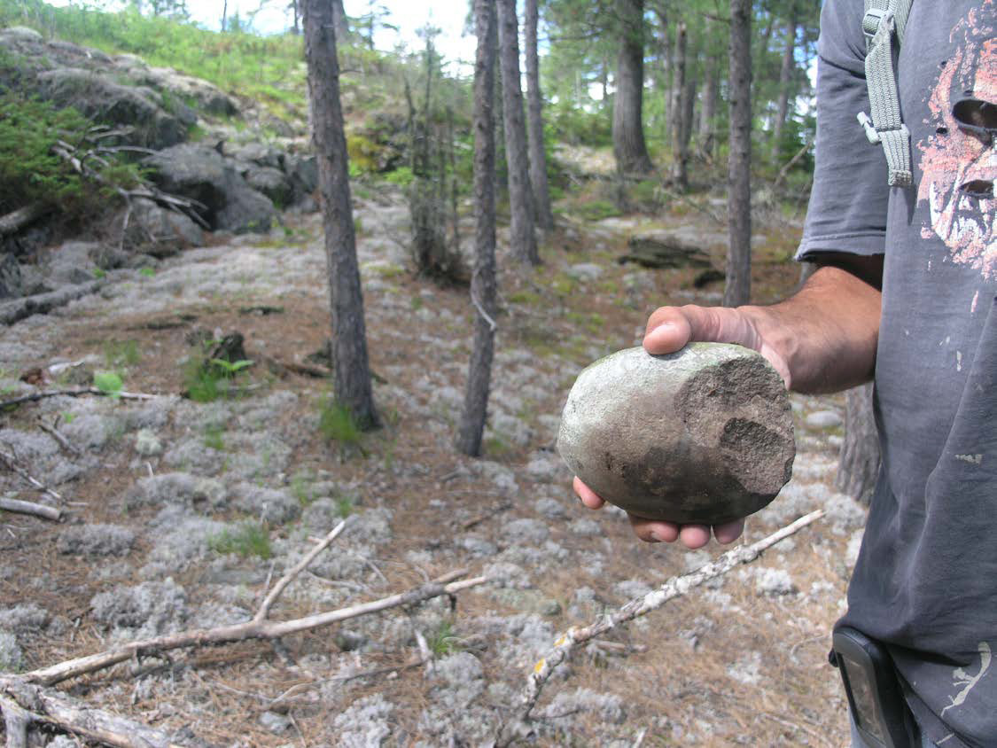 A person holds a damaged hammerstone with a background of scrappy conifers and grayish moss.