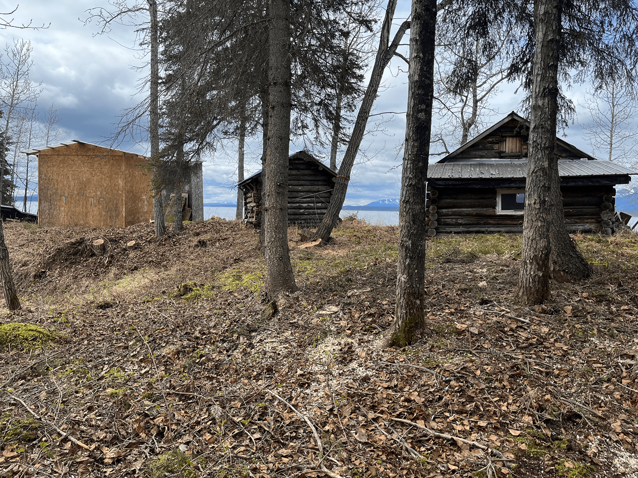 3 cabins, two fully built and one partially complete are visible amid a thinned stand of trees with a large lake in the background
