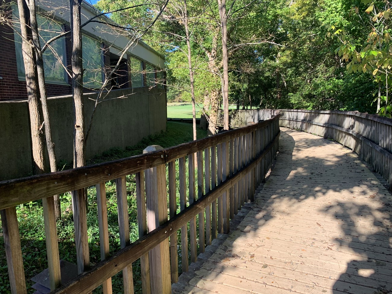 A wooden deck curves through the woods around a building.