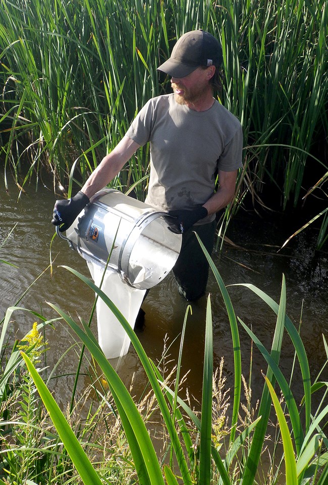 Man stands in a vegetation-covered river with a Hess sampler