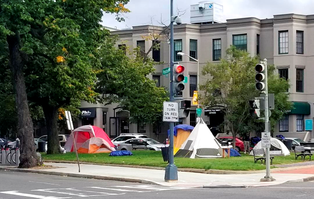 Tents set up in a park at a city intersection.