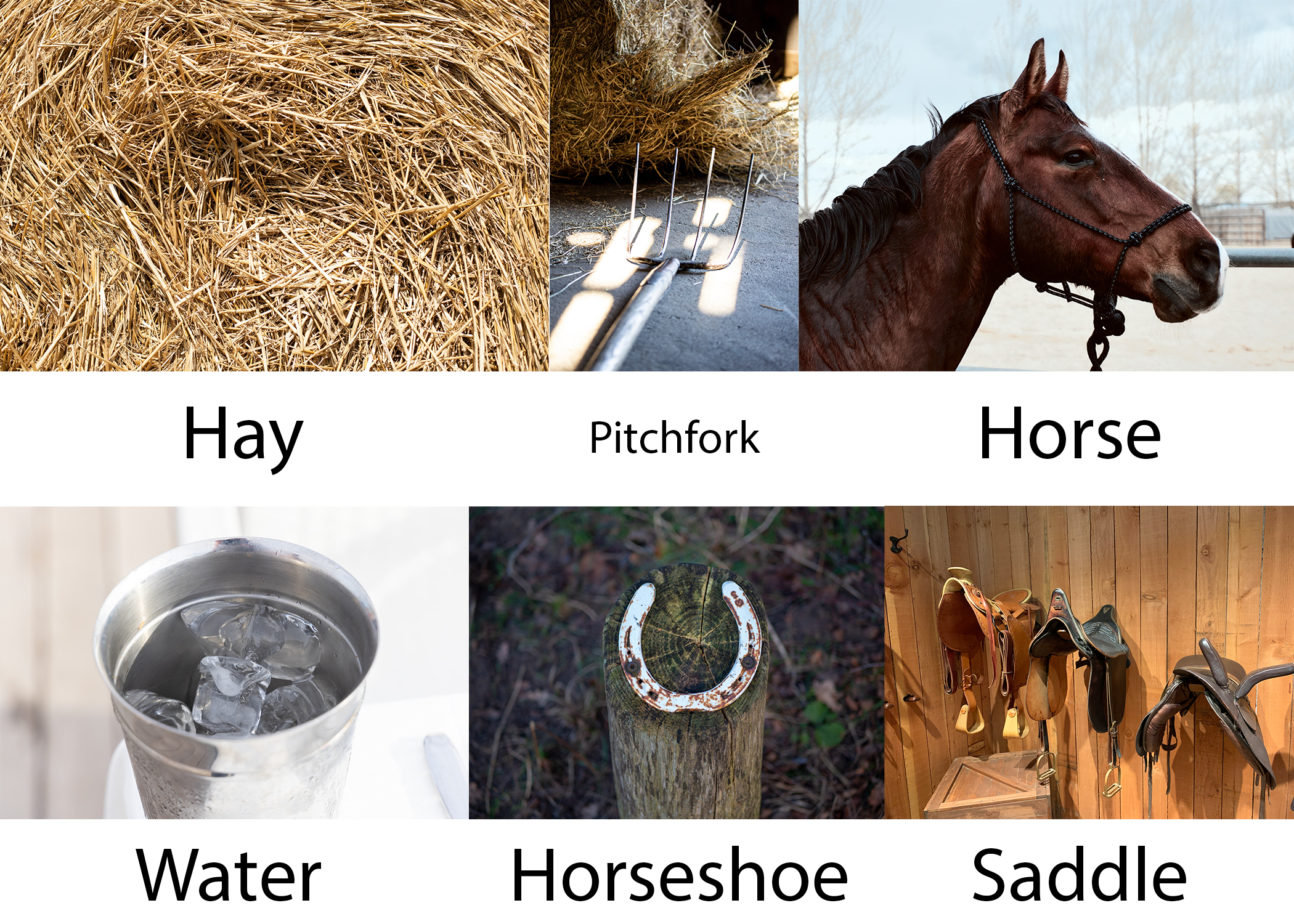 From top left clockwise, various image of hay, a pitchfork on a floor, a horse, a bucket of water, a horseshoe, and three horse saddles.