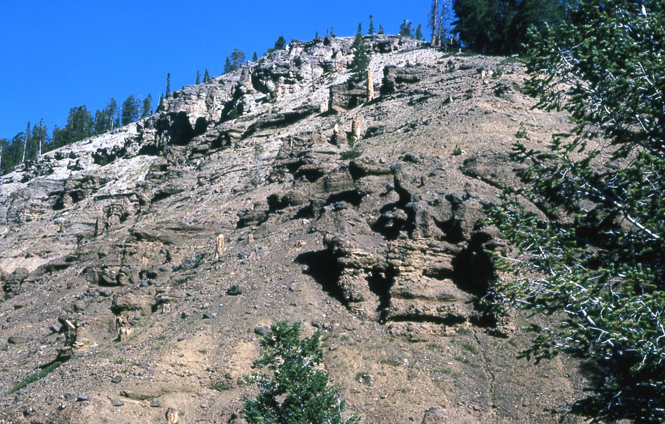 Photograph of a hillside showing exposed gray rock layers. Trees are visible under a blue sky.
