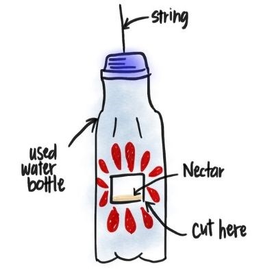 Illustration of a do-it-yourself hummingbird feeder.