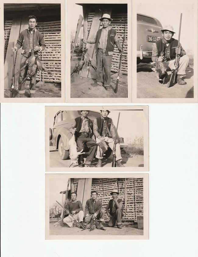 Scrapbook scan of five pictures. Top three images of three different men posing with a shotgun and a couple of dead pheasants. Middle photo is two of the men posting with a gun, dead rabbit, and dead pheasant next to a car. Bottom photo is all three men