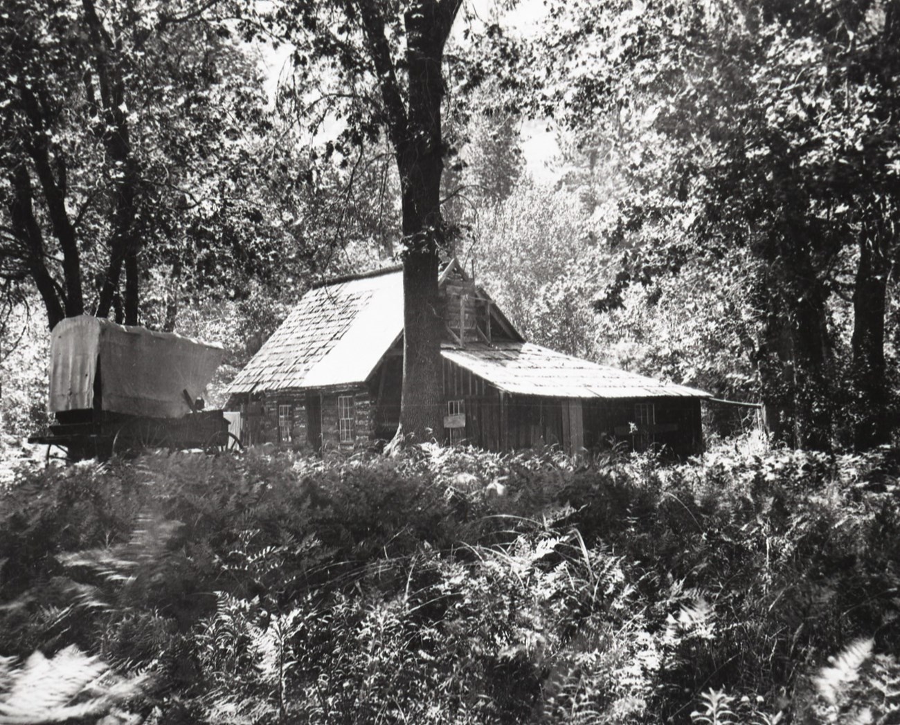 A log cabin in a forest.