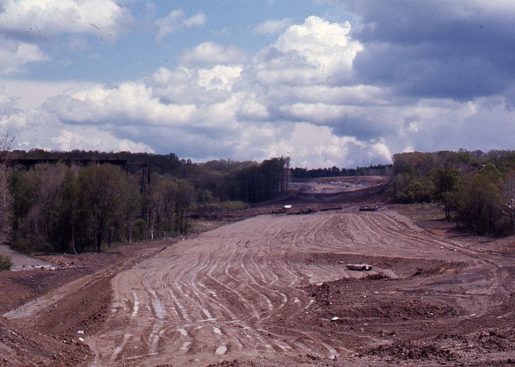 Several rows of deep ruts cut into the bare brown earth of a wide clearcut corridor through the forest.