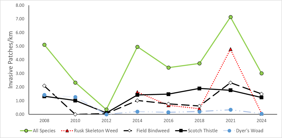 Line graph shows invasive plant detections per km peaking in 2021 then declining in 2024.