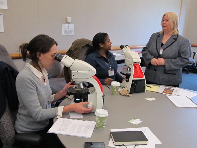 Podcast 040: Thin Section Petrography for Conservation