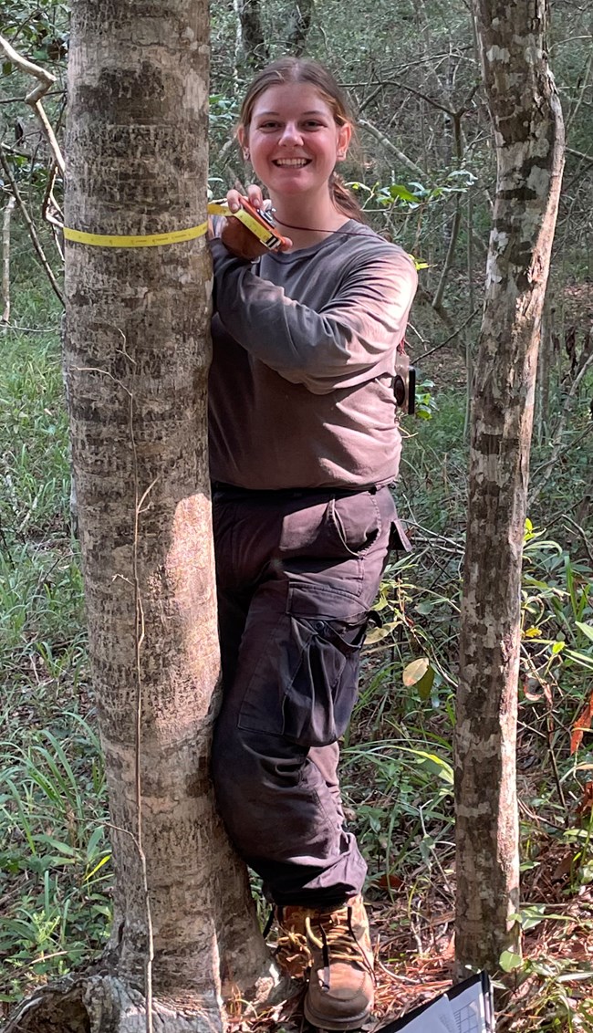 Woman measuring a tree trunk