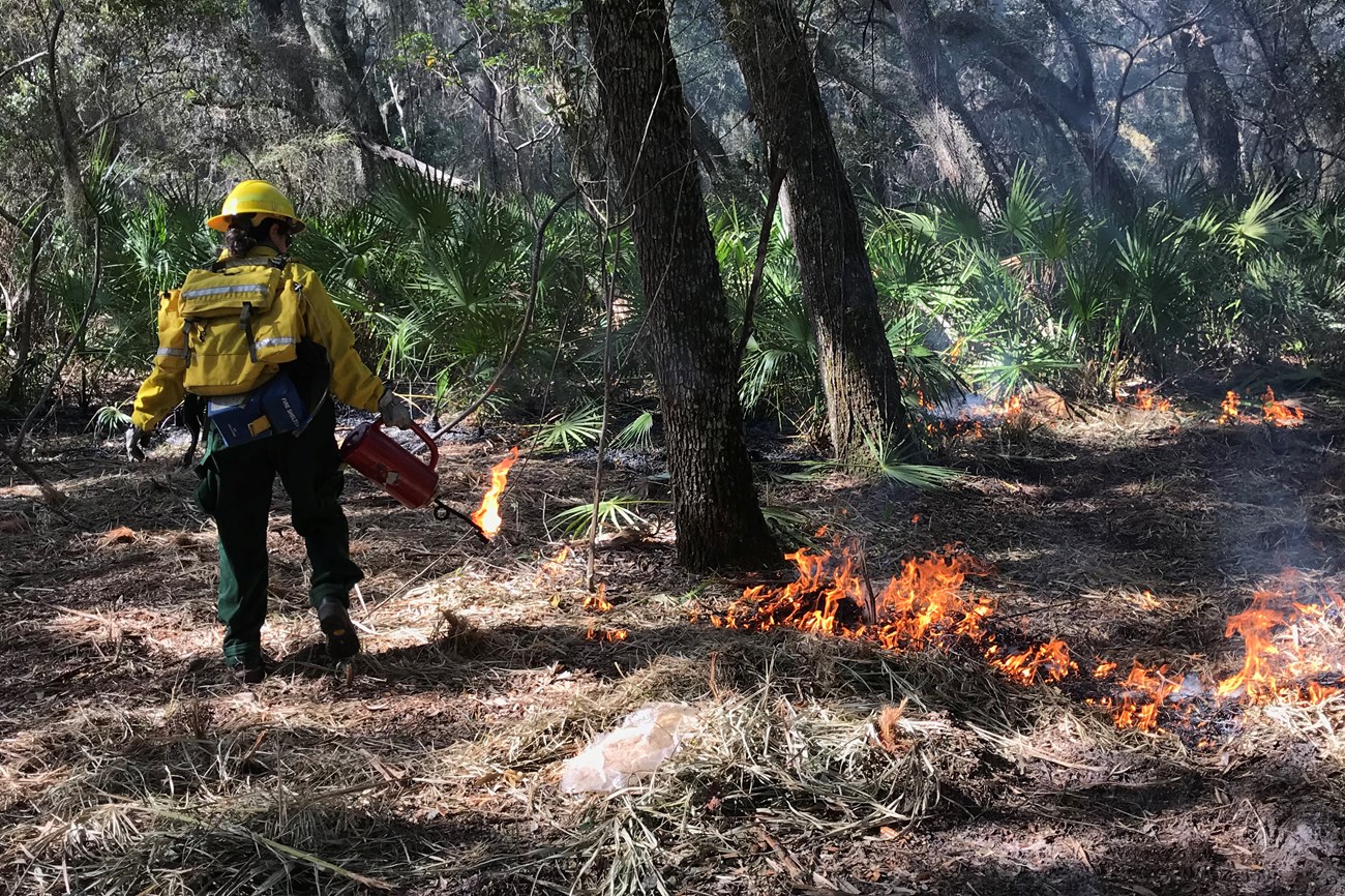 Person in woods holding igniter with fire on the ground