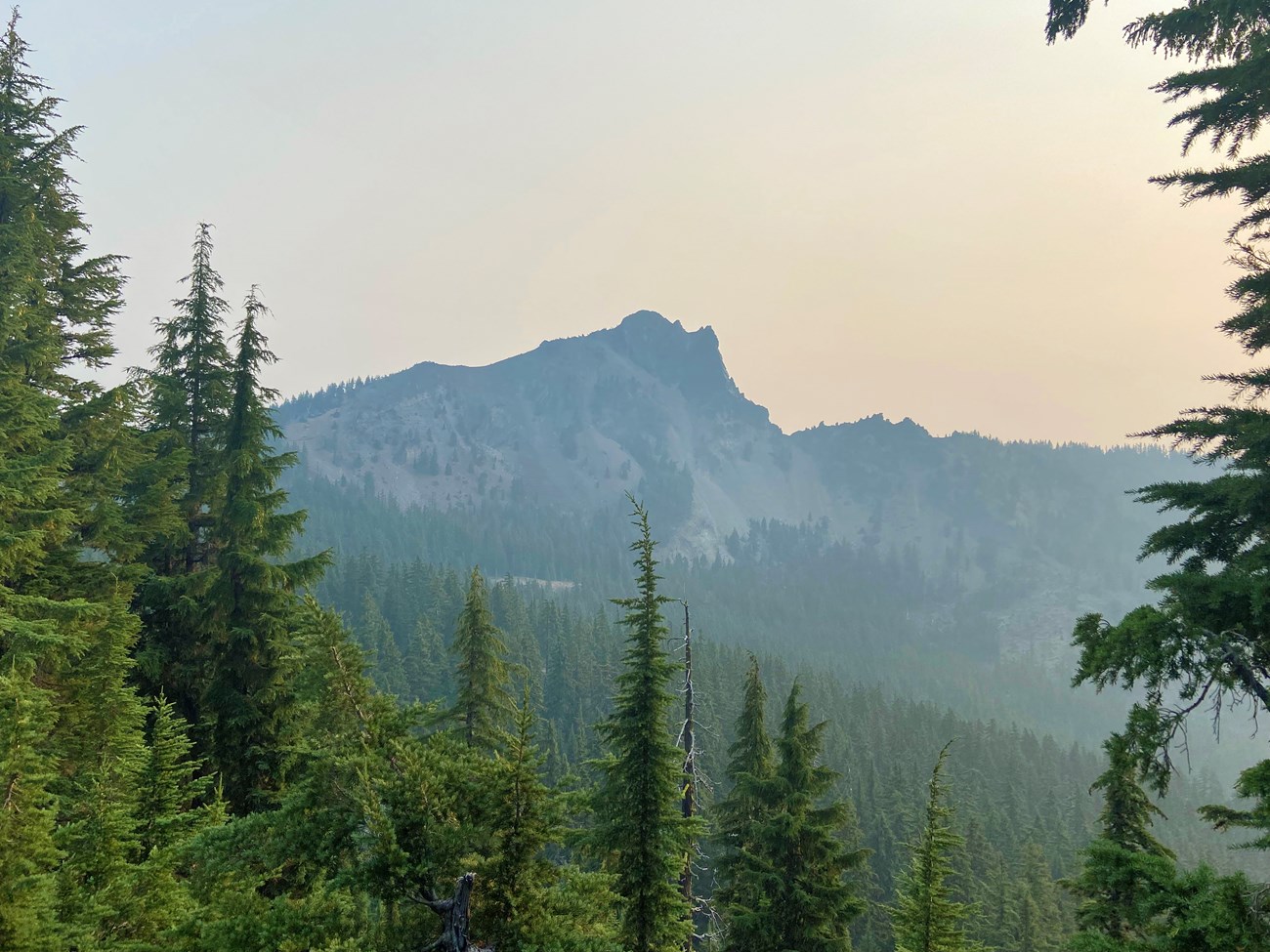 View of a peak shrouded in a thick haze, framed by surrounding conifers.