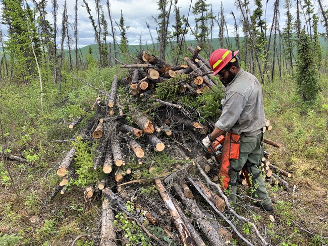 A man in wildland firefighting gear uses a chainsaw to cut wood near a debris pile.