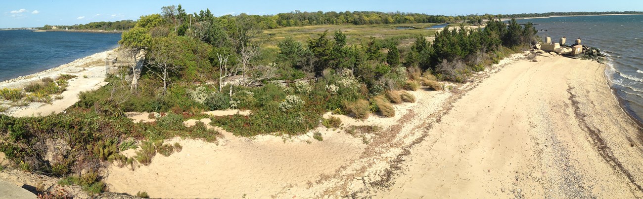 a panoramic view of a sandy peninsula with dune plants and salt mash in the background at Sandy Hook, NJ.